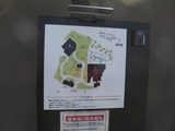 滑川 花明かり 1