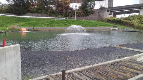 20181124_065736