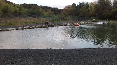 20181124_065754