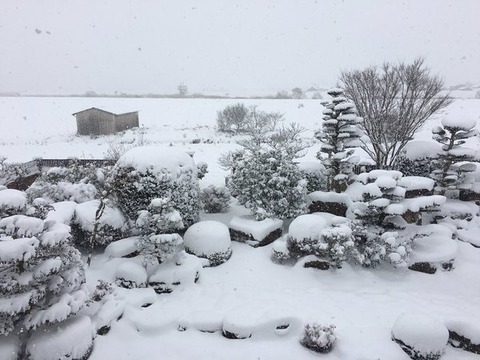 snow