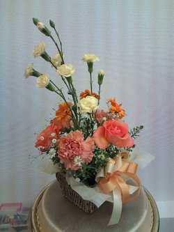 201003�ե�3