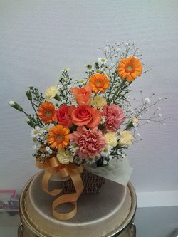 201003�ե�6