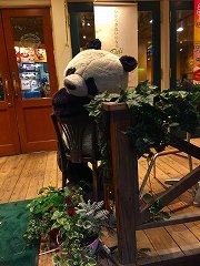 IMG_3434