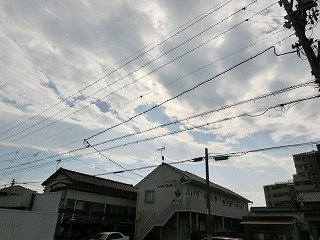 CIMG2656