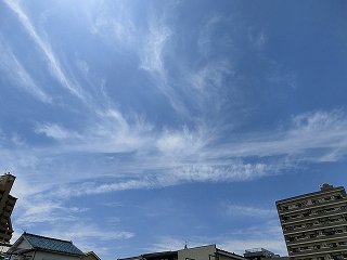 CIMG6863