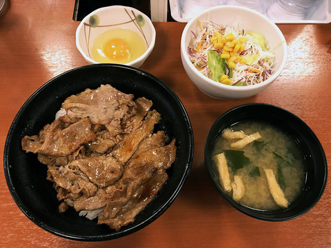 chikarameshi3