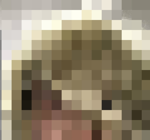 BlogPaint