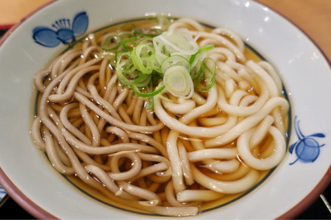 udon soba