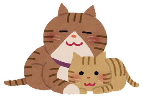 neko_oyako