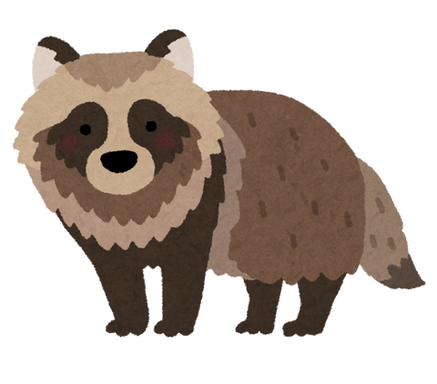 animal_tanuki