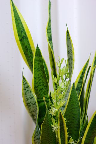 d47525d0.jpg