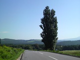 277835d4.jpg