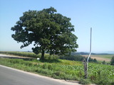 8ac77dd7.jpg
