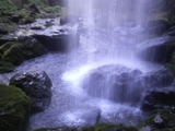 d3786a2b.jpg
