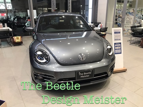 beetle meister