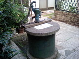 7f1bf027.JPG