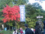 80f8552b.JPG