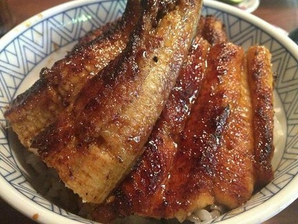 イチビキ(うなぎ丼アップ)