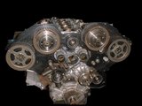 z31 2
