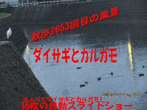 181212sanpo2653