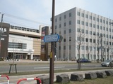 DSCN0782