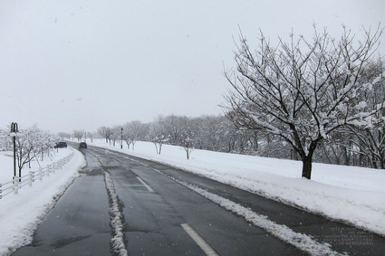 Pizma_IMG_4966