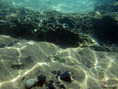 pix_IMG_1051