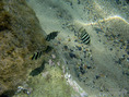 pix_IMG_1066
