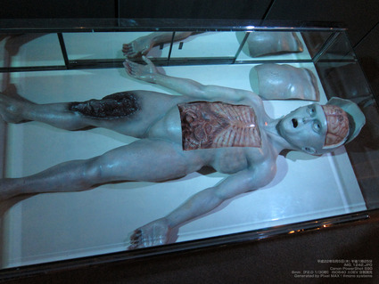 pix_IMG_1242