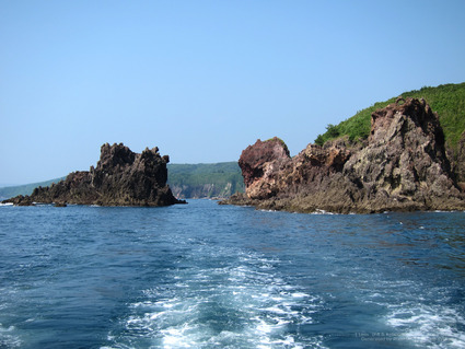 pix_IMG_0796