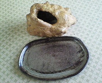 2203c904.jpg