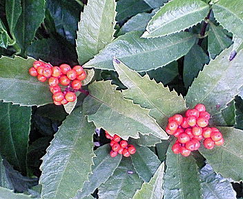 231813a3.jpg