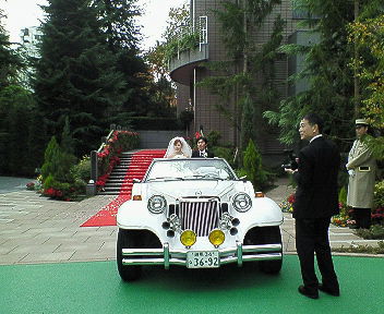 803aa617.jpg