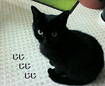 9d148334.jpg
