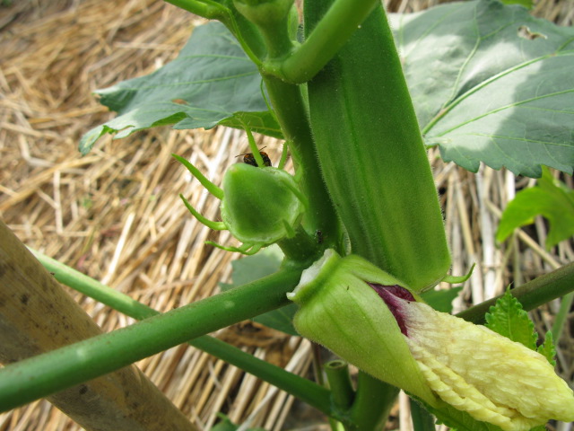 b74c5860.jpg