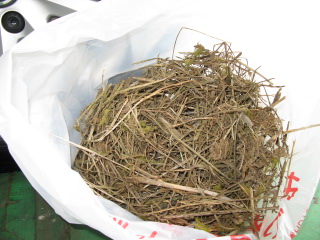 c2d9b675.jpg
