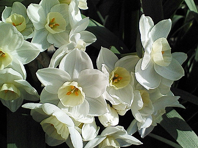 c9526876.jpg