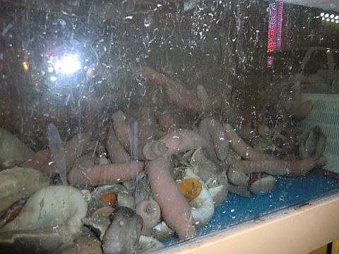 CIMG0481