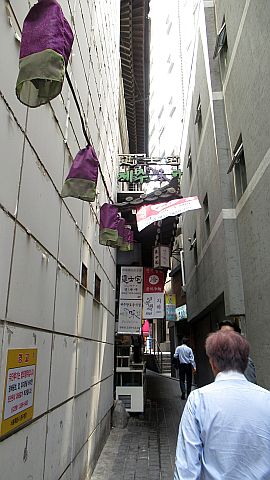 IMG_0995