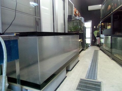 CIMG0949