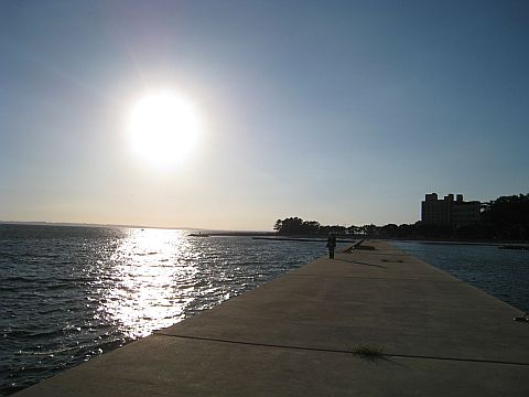 IMG_0341