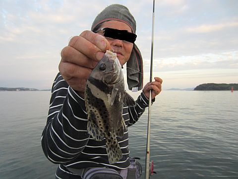 IMG_7062-1