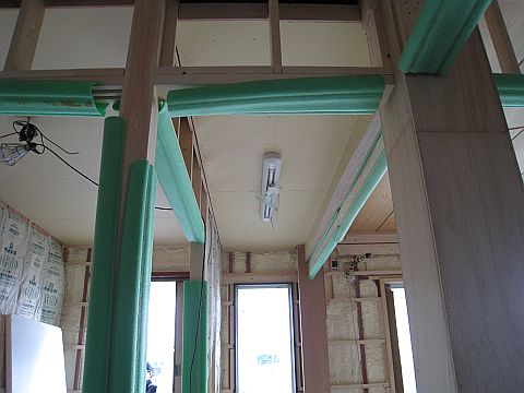 3870337e.jpg