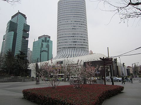 IMG_2287