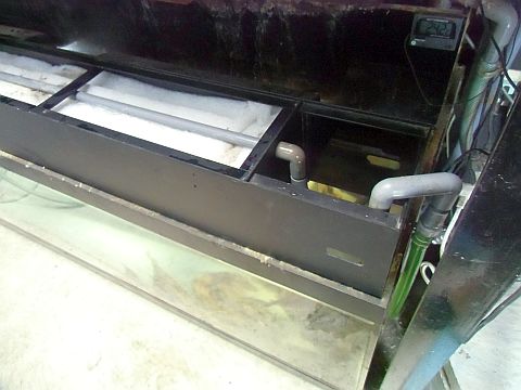 CIMG0936