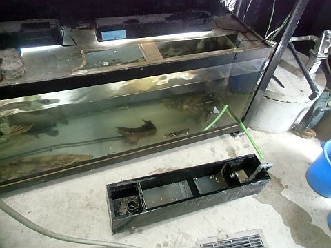 CIMG0932