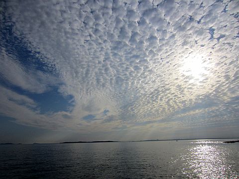 IMG_6965