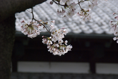 1204-kamakura01