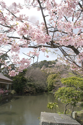 1204-kamakura03