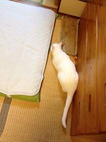 IMG_0725